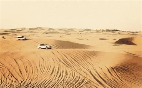 撒哈拉沙漠, 镜头里的浪漫!|骆驼|三毛|撒哈拉沙漠_新浪新闻
