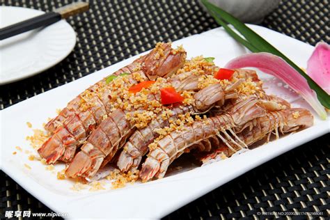 七彩皮皮虾图片