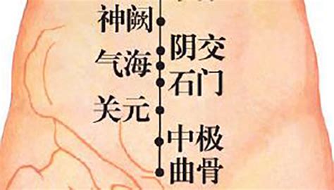 曲骨的准确位置图图片 曲骨的准确位置图图片