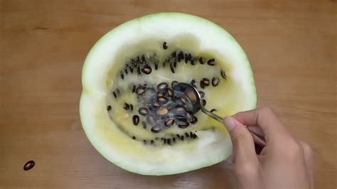 专门用来产西瓜子的籽瓜，里面全部都是瓜子你吃过吗？_腾讯视频