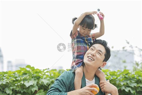 父亲的肩头,儿童婴儿,人物百态,摄影素材,汇图网www.huitu.com