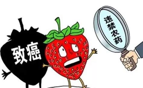 蔬菜品种不同，农残检出合格率也不同-南京微测生物科技有限公司