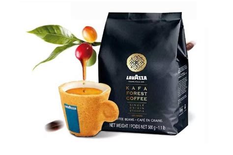 2021咖啡店十大品牌，星巴克上榜，第九专业运营猫屎咖啡 - 手工客