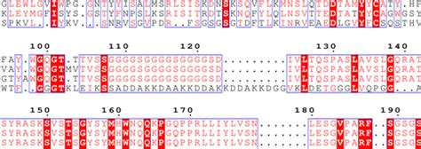 蛋白序列相似度比对_蛋白序列比对-CSDN博客