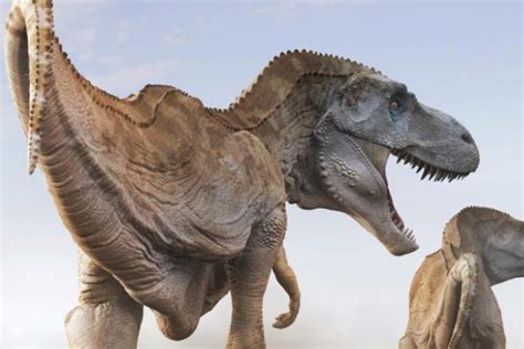 白垩纪十大最强恐龙，第一竟拥有20万牛咬力！