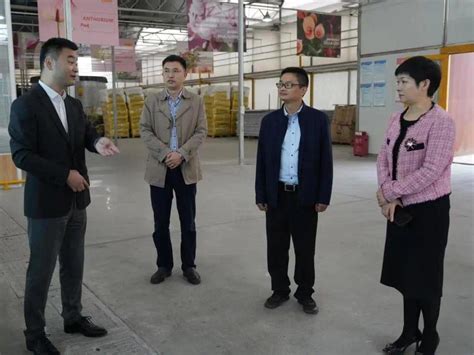 杭州市农业农村局领导赴临平区调研指导农业产业项目推进工作