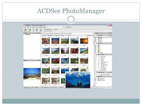 ACDSee Photo Manager_ACDSee Photo Manager软件下载-华军软件园