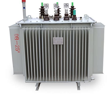 S13-250KVA油浸式变压器 农网配电用 三相全铜 双海电气