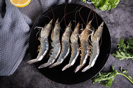 海鲜水产食物大虾龙虾高清图片下载-正版图片501666083-摄图网