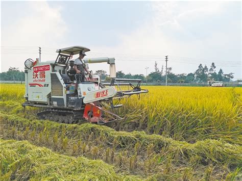 现代农业政策助推 印尼农业机械市场应用依赖进口