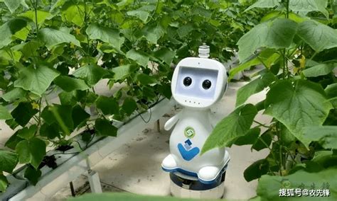 工控自动化应用方案：工控机在智慧农业采摘机器人中的应用