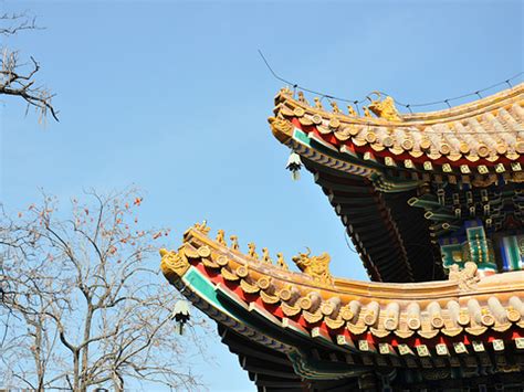 【携程攻略】雍和宫门票,北京雍和宫攻略/地址/图片/门票价格