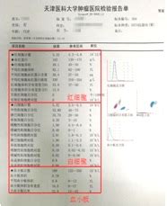 “三分天下”看血常规报告-天津市肿瘤医院-北方网企业建站