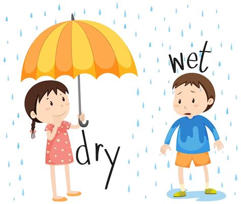 Opposite adjective dry and wet Vector | Free Download
