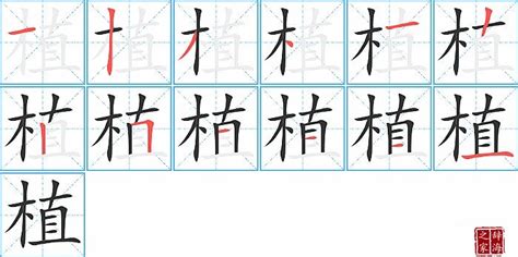 植的笔顺笔画如何写？汉字植的拼音、部首、笔画顺序及成语组词-学前教育资源网