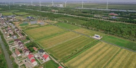 崇明：打造“碳中和”示范区，可再生能源项目不断上马- 上海市崇明区人民政府