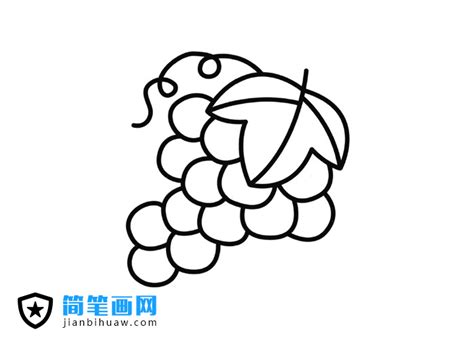 葡萄简笔画图片