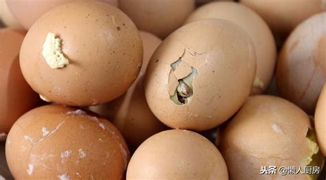 毛蛋为何叫喜蛋？吃喜蛋到底有没有营养？中国十大奇食之四