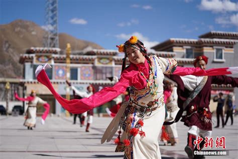 青藏高原野生动物园“居民”撒欢享受春日暖阳_龙岗新闻网