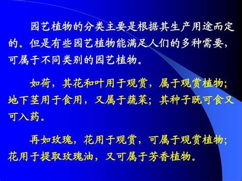 农历2023年十二月二十一日天气