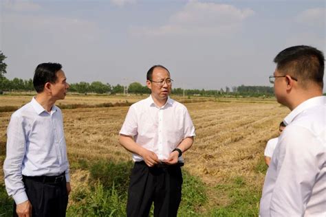 党建引领探索基层治理现代化新路径——基于河南省信阳市党建引领基层治理的调查-信阳日报-信阳