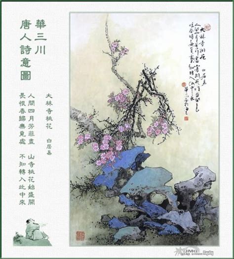 白居易《大林寺桃花》古诗配画赏析-学习网