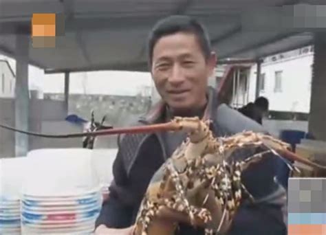 浙江温岭渔民捕获一只色彩斑斓的超大龙虾 - 神秘的地球 科学|自然|地理|探索