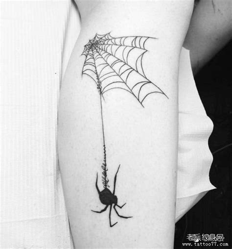 男生腹部蜘蛛与蜘蛛网纹身图案