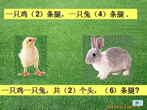 1993年属鸡和1999年属兔能结婚吗 互补的一对-十二星座网