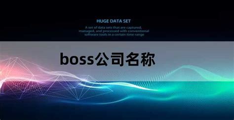 boss公司名称（boss公司名称如何编辑）_老南宁财税服务平台
