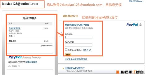 使用中国的PayPal转账100美元给老外购买游戏道具教程-PP代付-正规的PayPal代付代购,虚拟visa礼品卡代付,靠谱的贝宝余额代购平台！