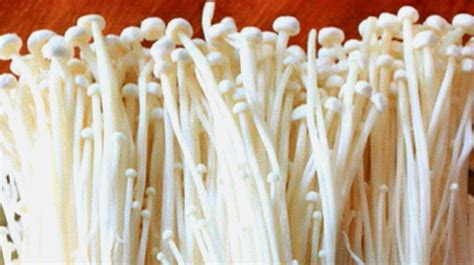 金针菇的做法大全(金针菇20种正确吃法) - 阿浪博客