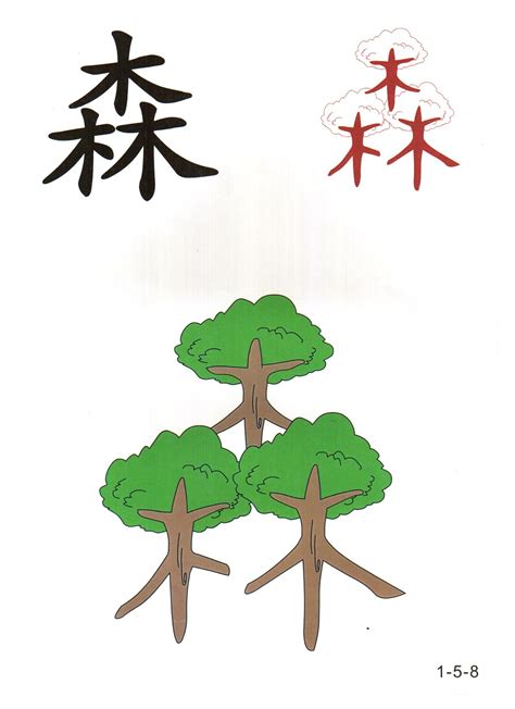 看图识字卡片图片