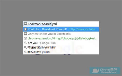 书签搜索：Bookmark Search - Chrome生产工具插件 - 画夹插件网