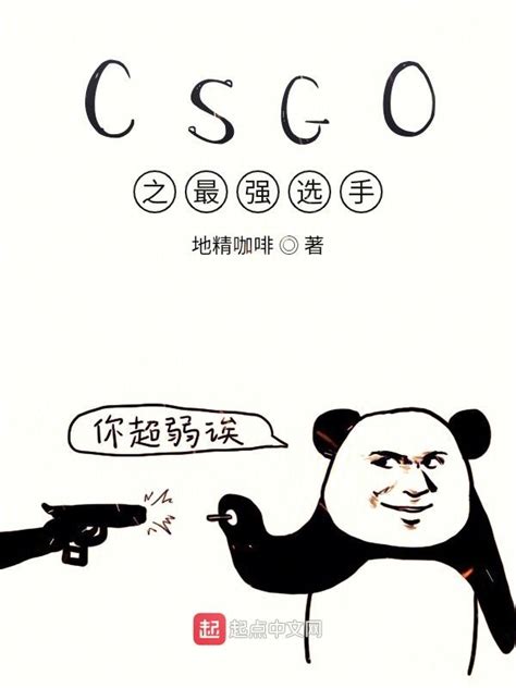 《CSGO之最强选手》小说在线阅读-起点中文网
