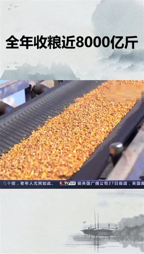 国家粮食储备局：今年夏粮生产收购呈现“双好双优” - 世相 - 新湖南