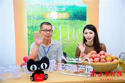 阿里丰收节打造广西贵港“水果名片” 1小时卖光20吨百香果