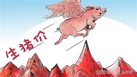 【价格】2022年5月中国猪肉集贸市场价格当期值数据统计_观研报告网