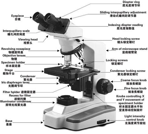 显微镜的使用方法_化工仪器网