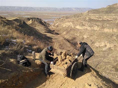 山西运城农民在黄土崖边挖龙骨1斤100元，神秘职业代代相传