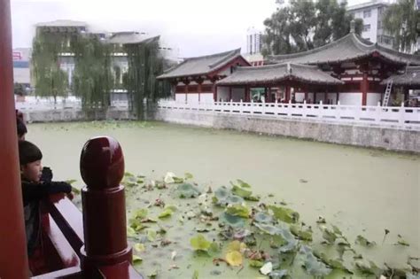 千年成州之旅游︱成县莲湖公园-旅游攻略-游记-去哪儿攻略