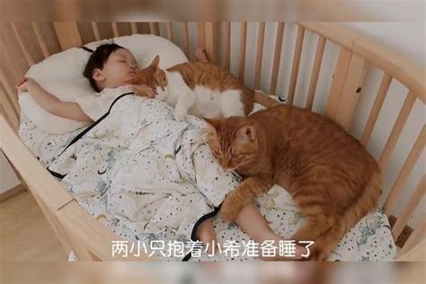 从小陪宝宝睡的橘猫，见宝宝换了床又跟来了