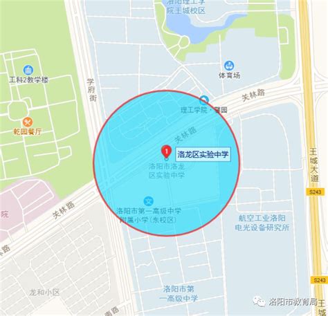 2021洛阳洛龙区最新划片范围公布(小学+初中)- 洛阳本地宝