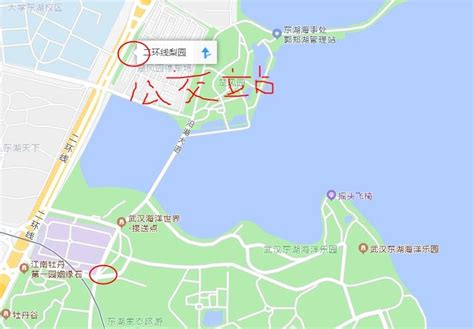 武汉东湖海洋世界在哪里?附停车攻略_旅泊网