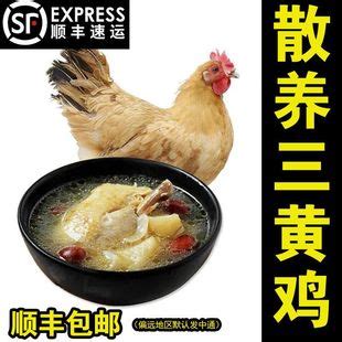 鸡肉厂家批发全净膛新鲜三黄鸡19kg大白条鸡中装鸡商用鸡肉原料-阿里巴巴