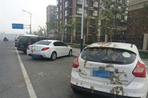 北京大兴一小区外四十多辆车被泼粪(图)_手机新浪网