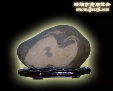 欣赏实在歌的洛阳黄河石 组图 - 华夏奇石网 - 洛阳市赏石协会官方网站