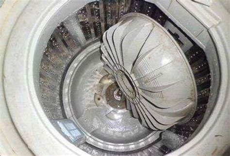 波轮洗衣机如何清洗消毒-知修网