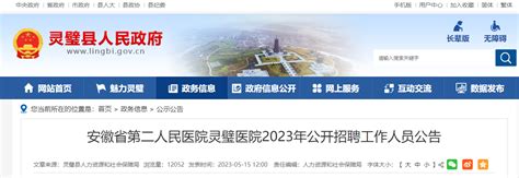 2023年安徽省第二人民医院灵璧医院招聘29人（报名时间：5月20日-5月24日）