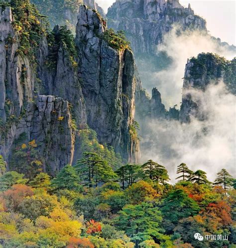 黄山的图片